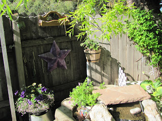 Buckets of Gardening Ideas: Side Yard and Pond Area
