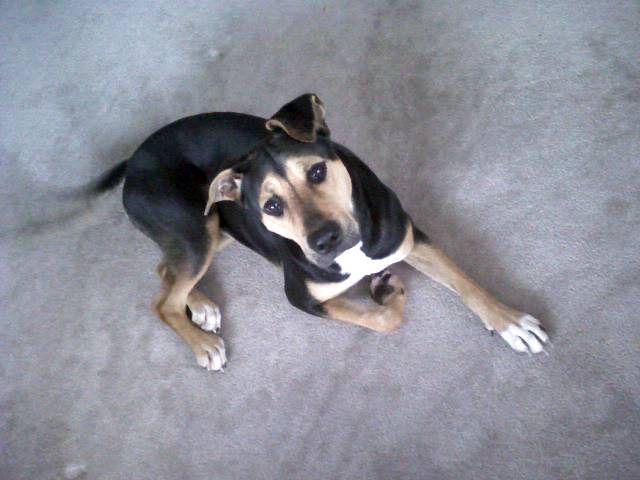 [bm-image-736904.jpe]