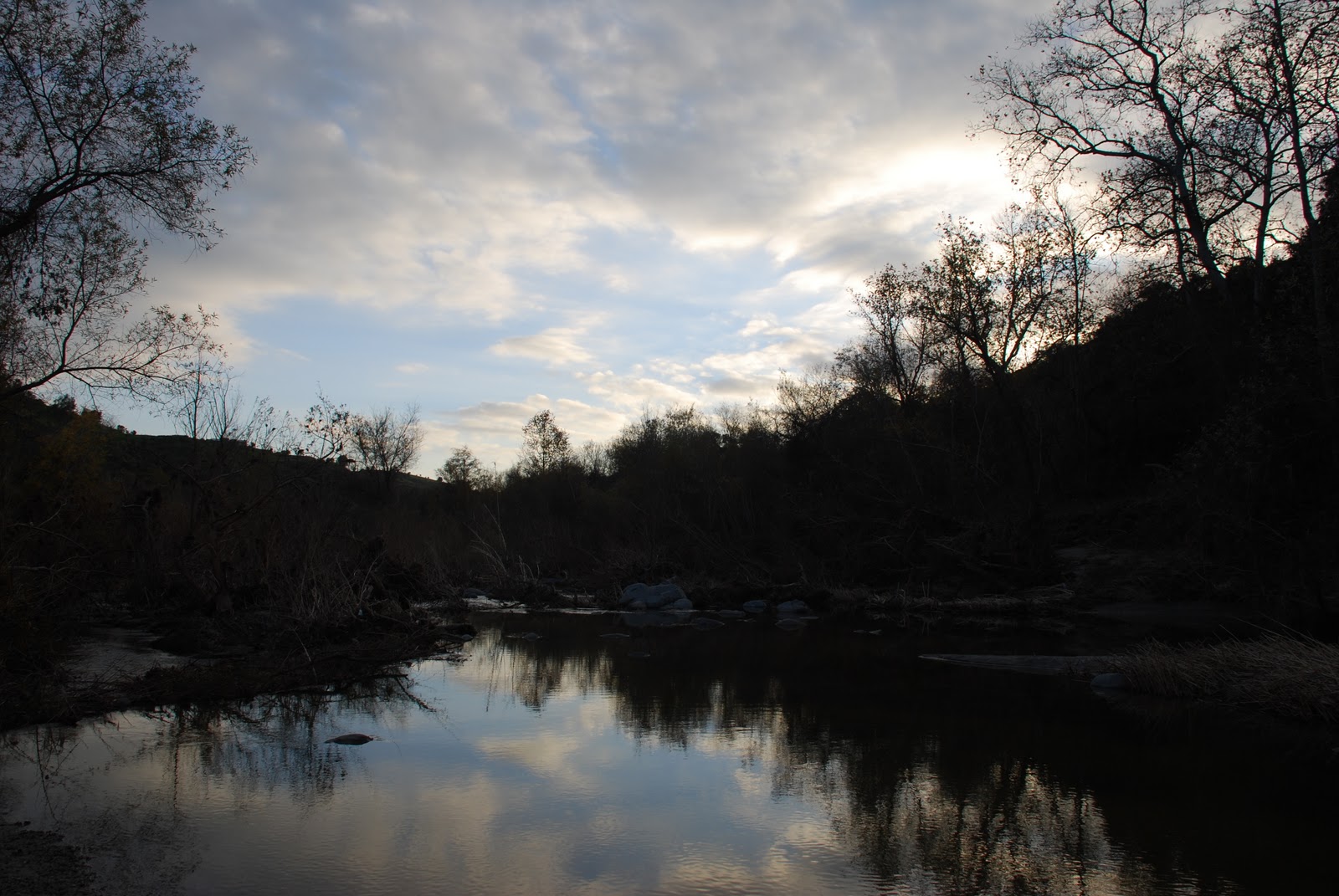 [Retention enemas pics] [retention cyst left maxillary sinus]