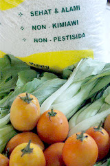 Beras dan Sayur Organik