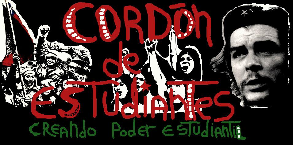 Cordón De Estudiantes De Puerto Montt