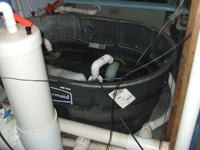 [DSCF8322.JPG]