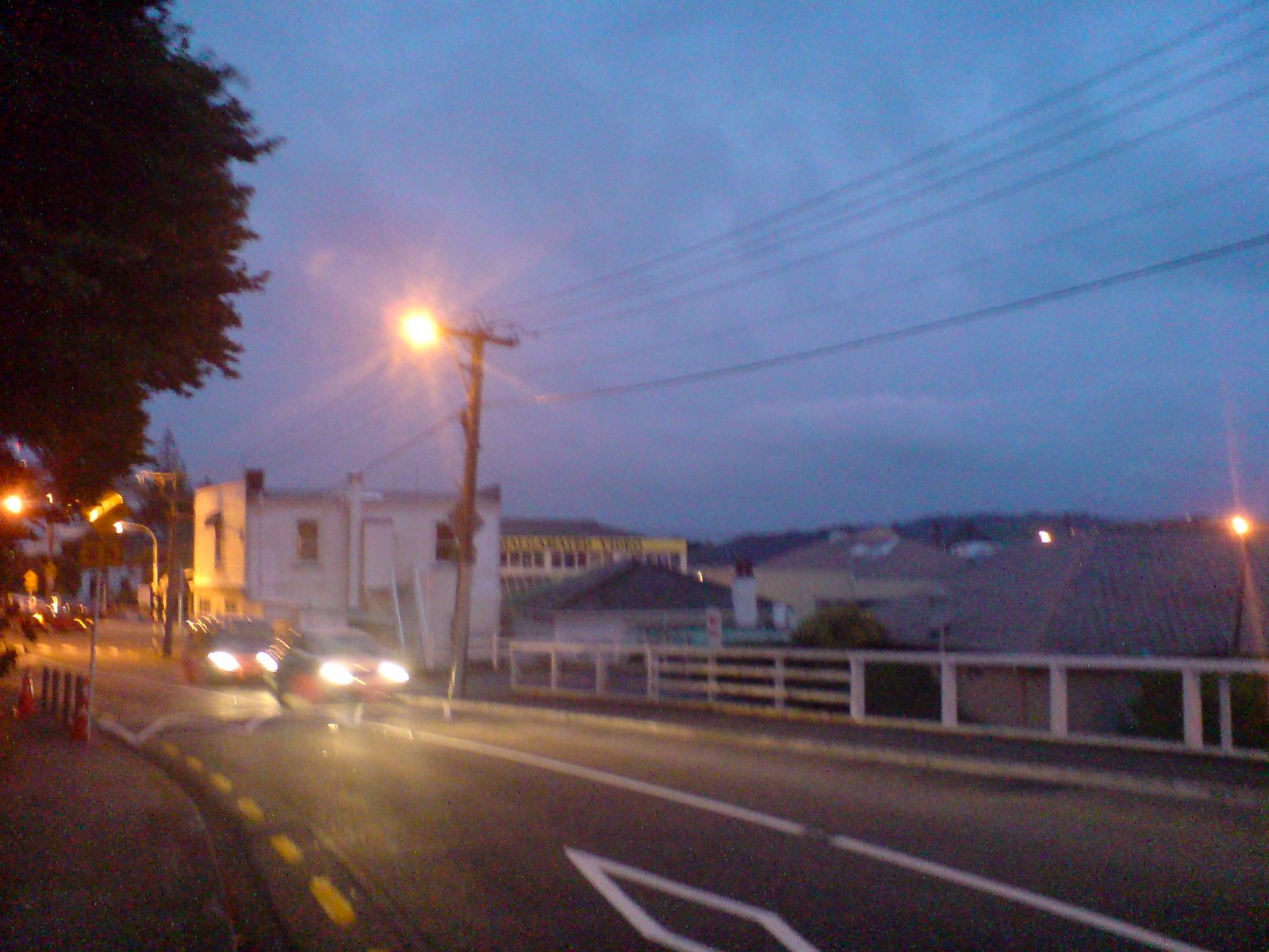 [DSC00561.JPG]