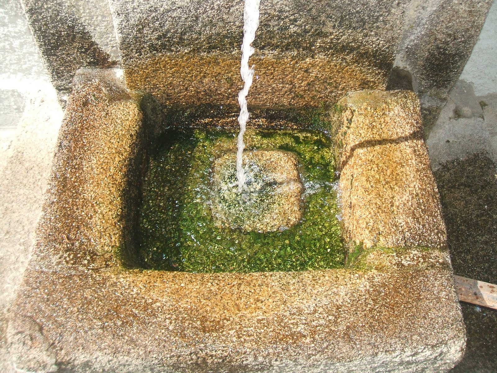 [DSCF4636.JPG]