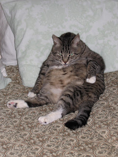 Jabadahut