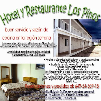 Hotel y restaurante Los Pinos