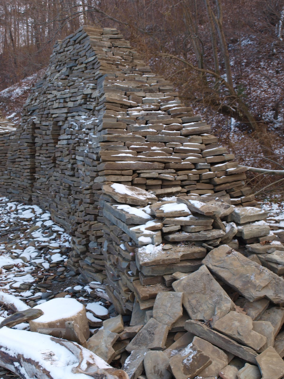 [PC061621.JPG]