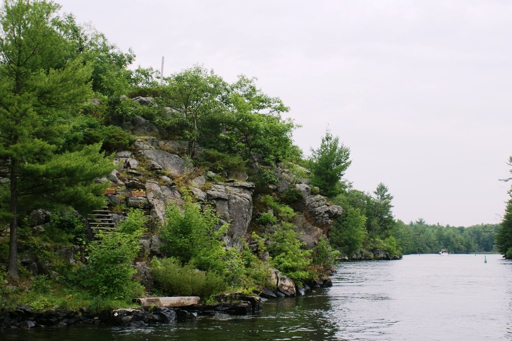 [DSC03341.jpg]