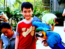My Photo