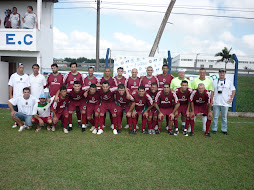 Campeonato Amador 1ª Divisão 2010-LID