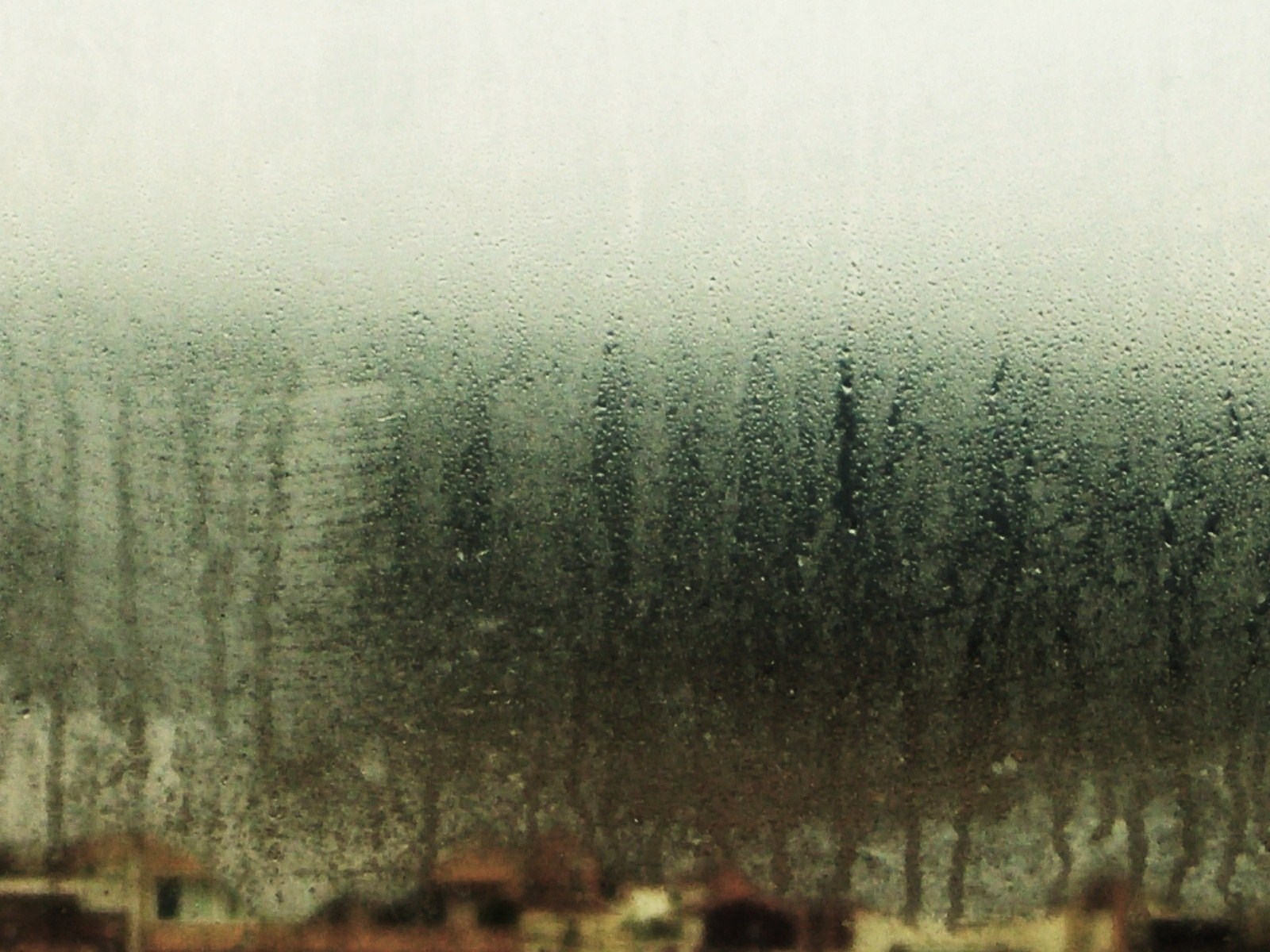 [Image4.jpg]