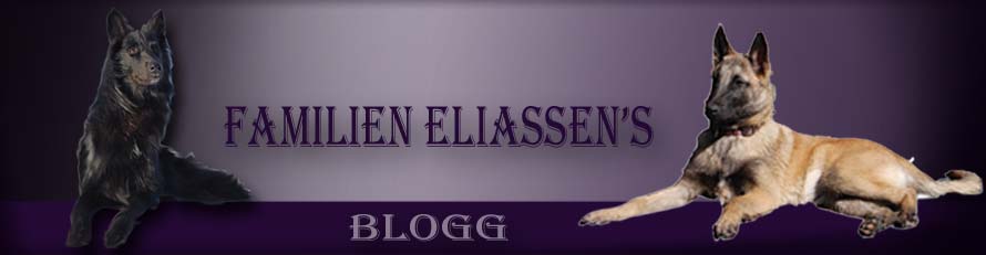 Fam Eliassen's Blogg