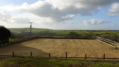 Horse Riding Arena