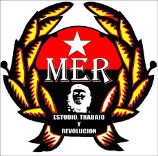 LOGOTIPO DEL MER