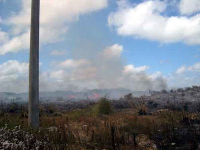 incendio 6