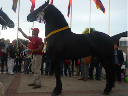 campeón de raza frison agroexpo 2009