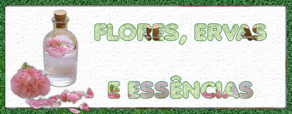 Flores, Ervas e Essências