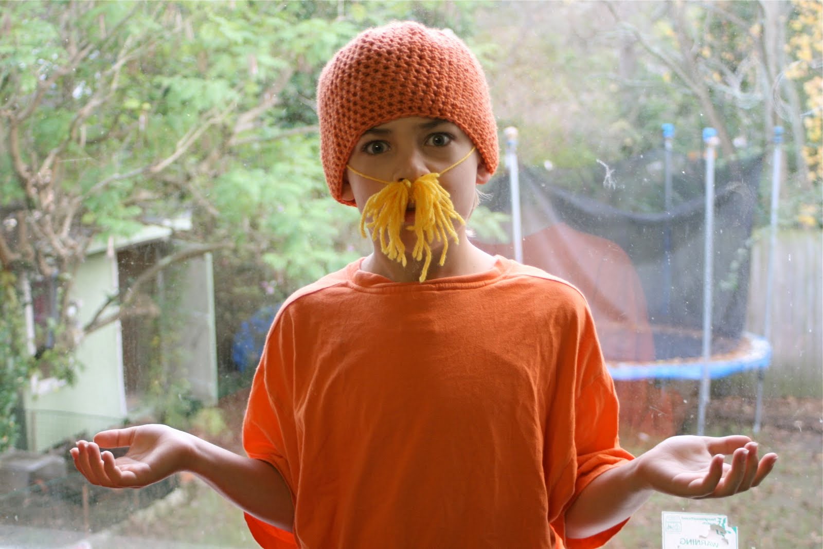 The Lorax Costume
