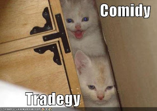 lol+cats+comedy+tragedy.bmp