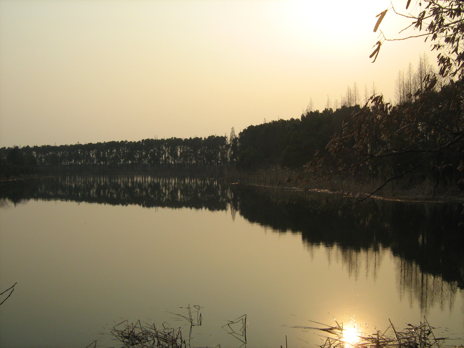 [Picture+491.jpg]