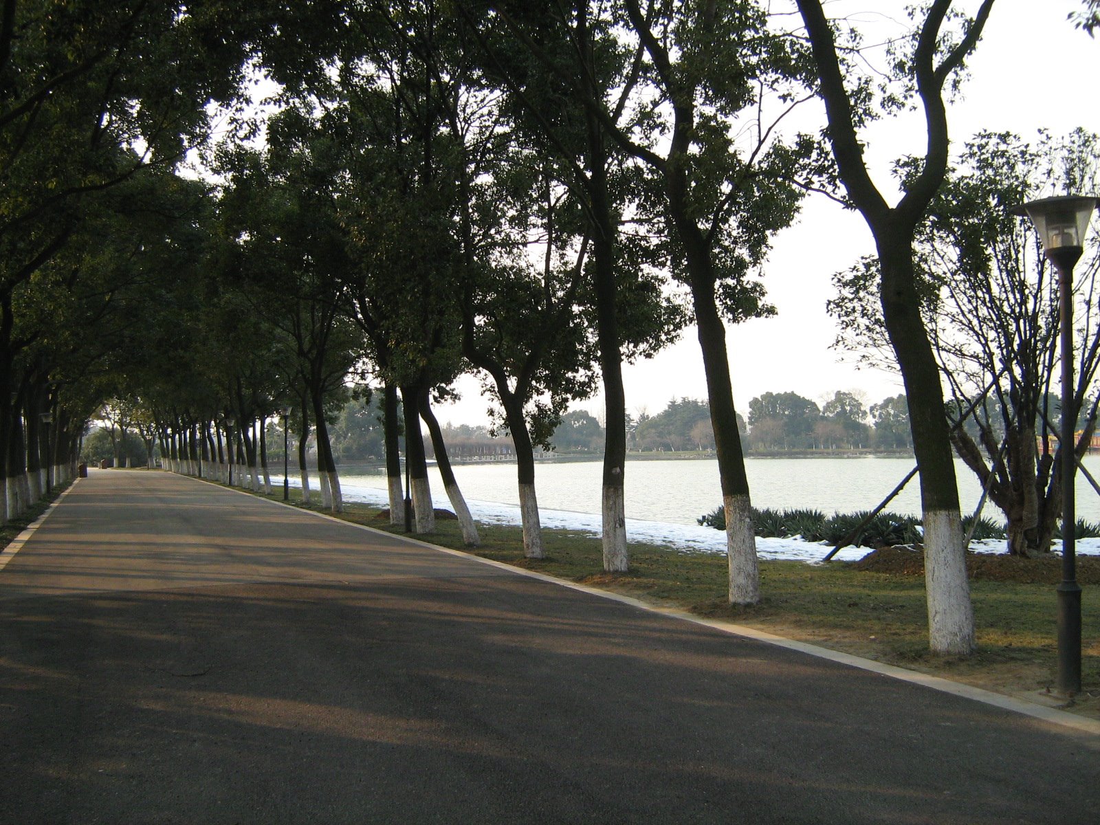 [Picture+486.jpg]