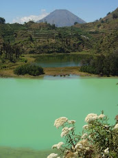 DIENG PLATEU