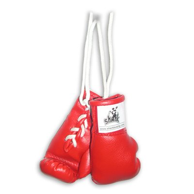 [colgar+los+guantes.jpg]