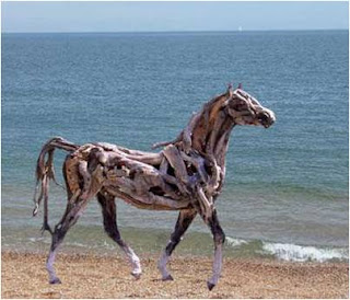 Cavalo na praia Cavalo na praia