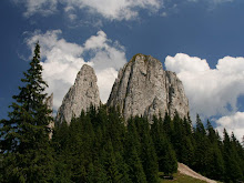 piatra?, sau pietrele singuratice ?