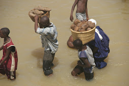 Niger river_Mali