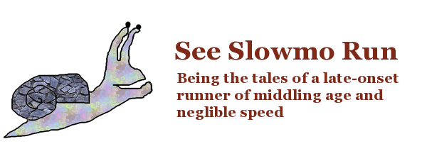 See Slowmo Run