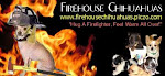 Far-Away Friend Firehouse Chihuahuas from NC