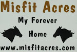Not-so-far-away Friend Misfit Acres in MN