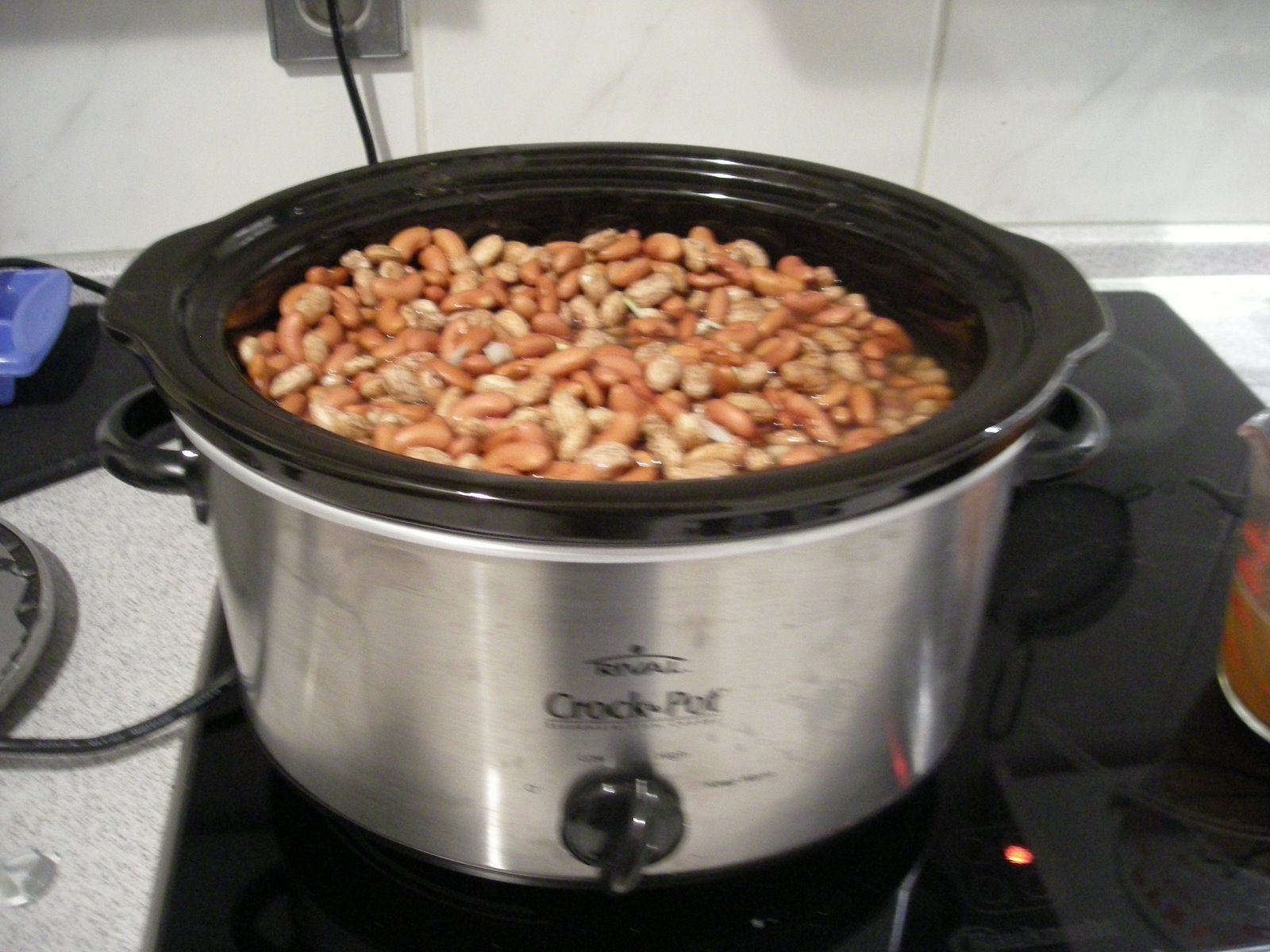 [beans+004.JPG]