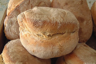 Pan hecho en casa. P%C3%A3o+alentejano