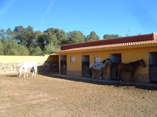 [Stables+2.jpg]