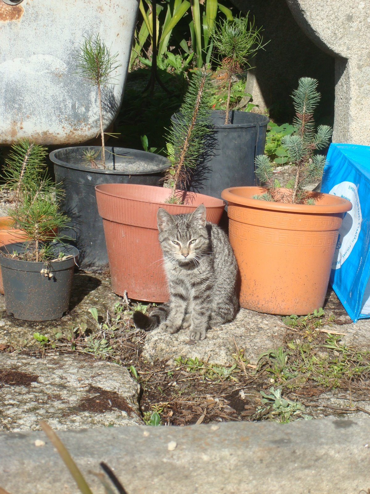 [DSC02068.JPG]