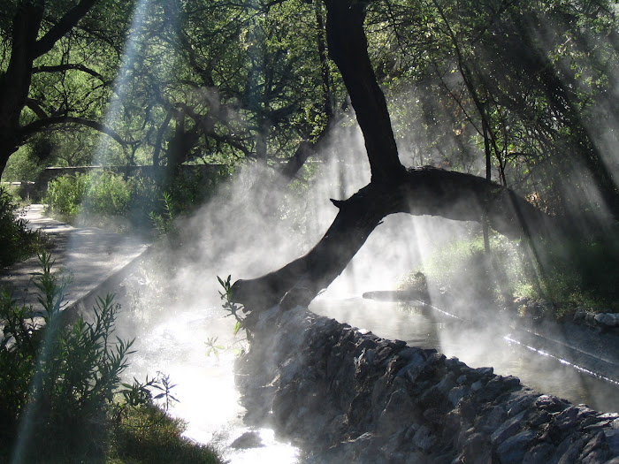 Agua Caliente