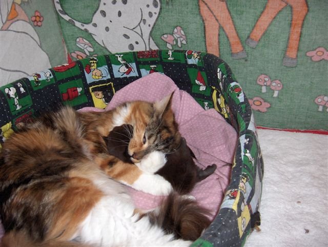 [RosieeSandyEpeq.JPG]