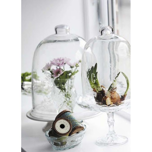 Foxgloves, Fabric and Folly !! "Beautiful Glass Garden Domes".....