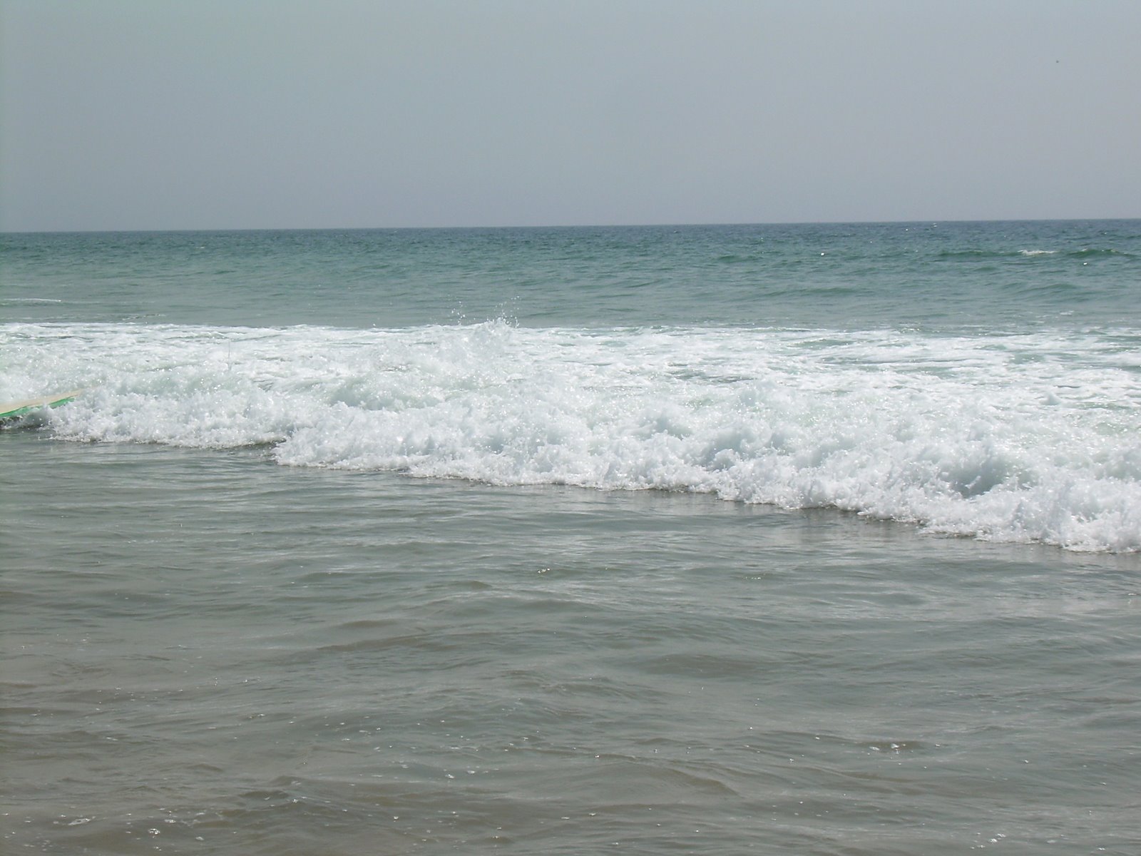 [DSCN0224.JPG]