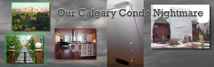 Calgary Condominium Nightmare - Lessons for all