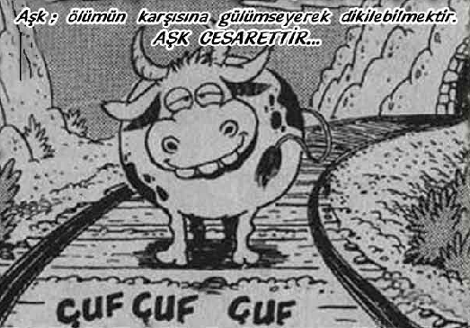 aşk  böyle bir şey: