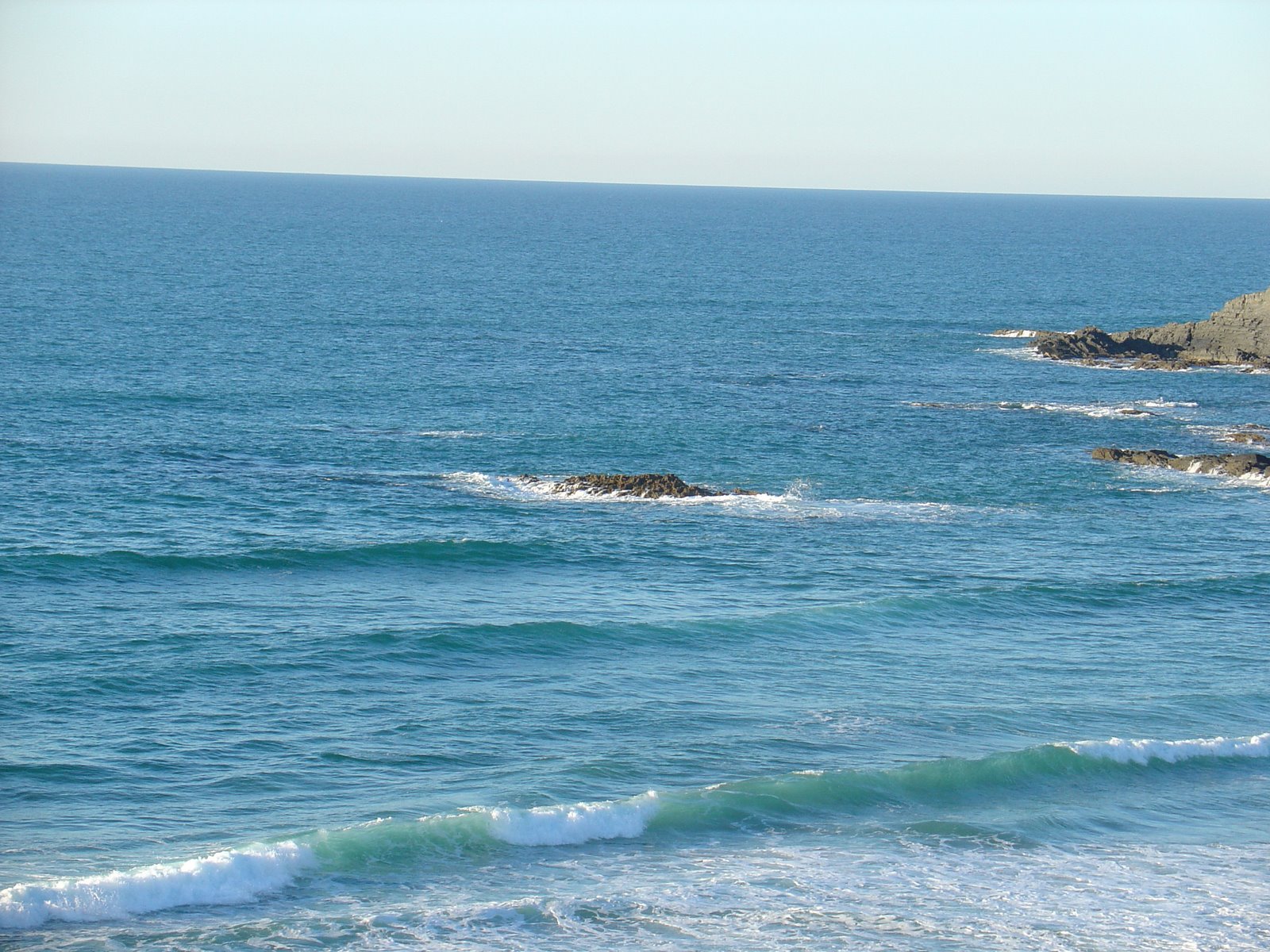 [DSC05666.jpg]