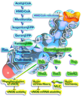 Can you buy ivermectin for humans