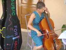 Cello at the Palm Inn Hotel