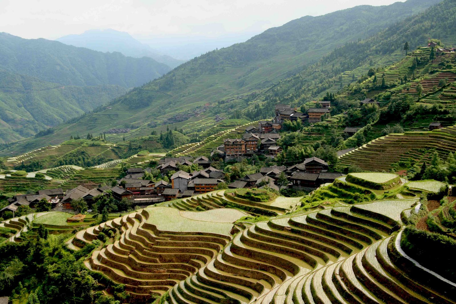 [Yongsheng.jpg]