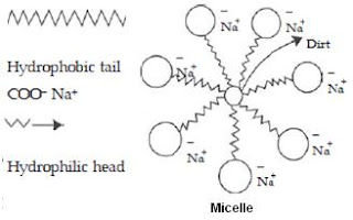 Soap micelle image