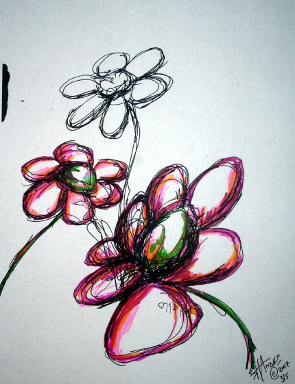 [echinacea3.jpg]