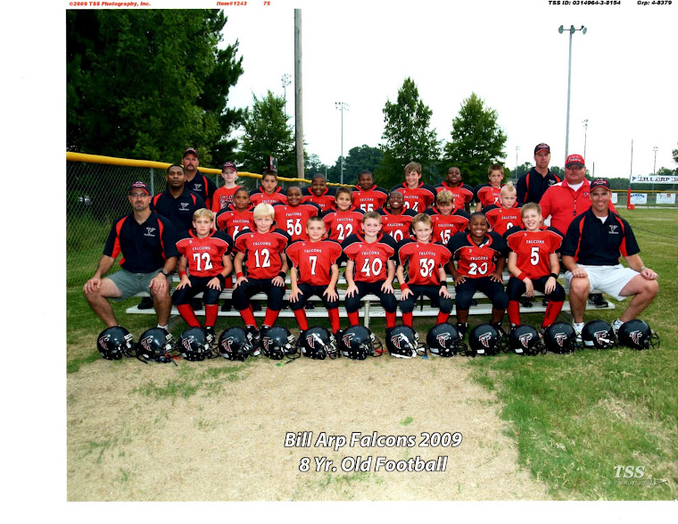 Bill Arp Falcons Football Team Roster D1